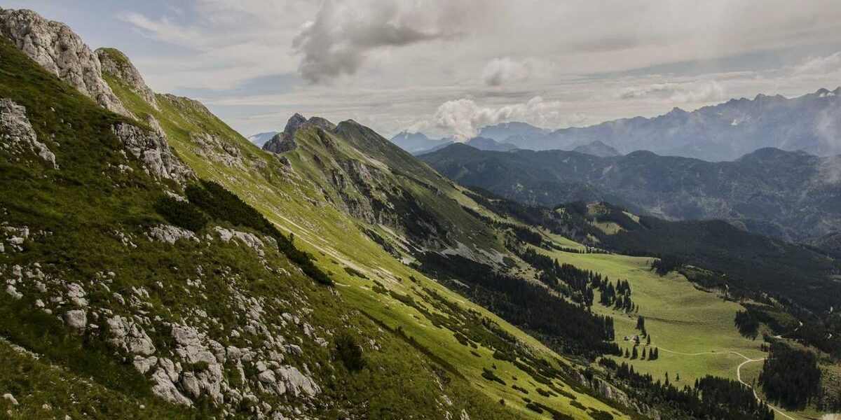 Collecting Rare Sports Memorabilia: Beginner Guide