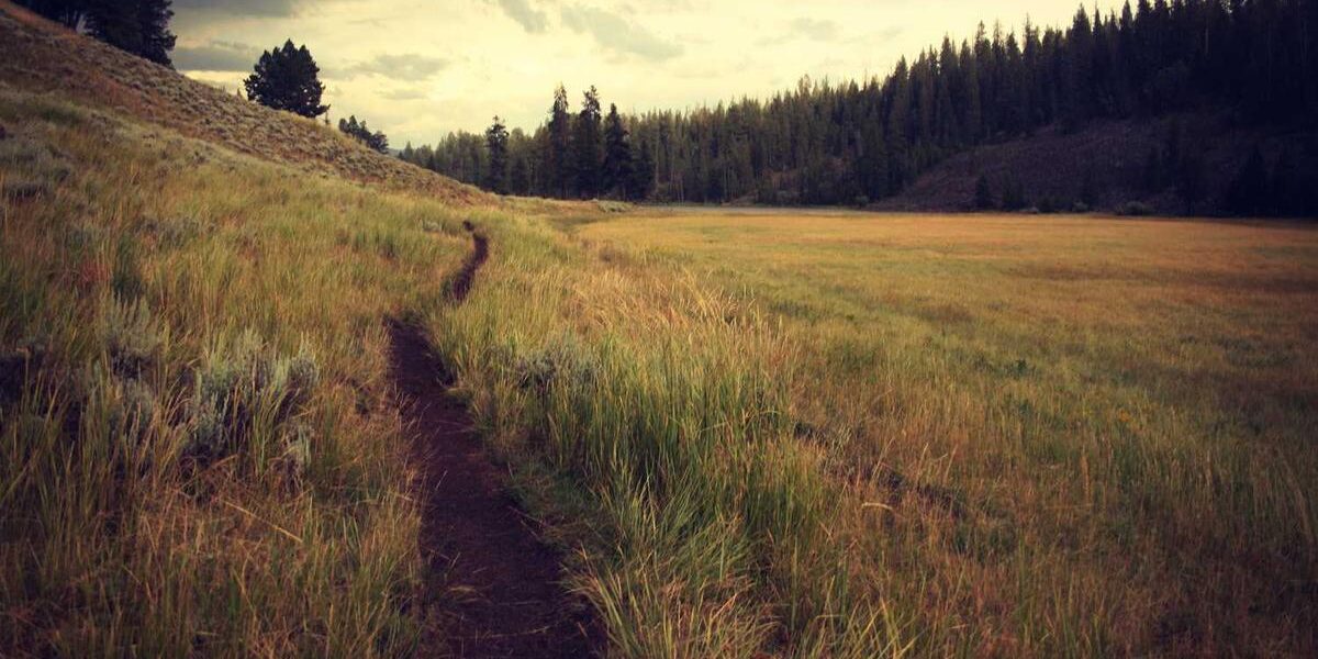 Sports Memorabilia: Treasured Icons of Fan Culture